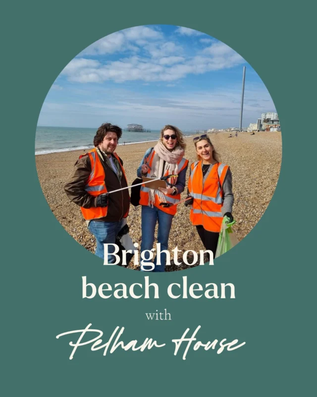 Last month, our fabulous @pelhamhouseweddings team headed down to Brighton seafront (just a short train journey from Pelham House) to take part in a beach clean! 🌊 🚮 

At Artemis, we're passionate about supporting community initiatives, protecting local wildlife and caring for our environment. We're so proud of team Pelham for taking part in this fantastic initiative, and we're looking forward to our next chance to volunteer! 

Thank you to @recorrauk for organising this clean up! 🧡